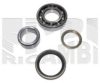 CALIBER RC2310 Wheel Bearing Kit